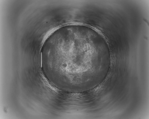 X0000100861223200807070925