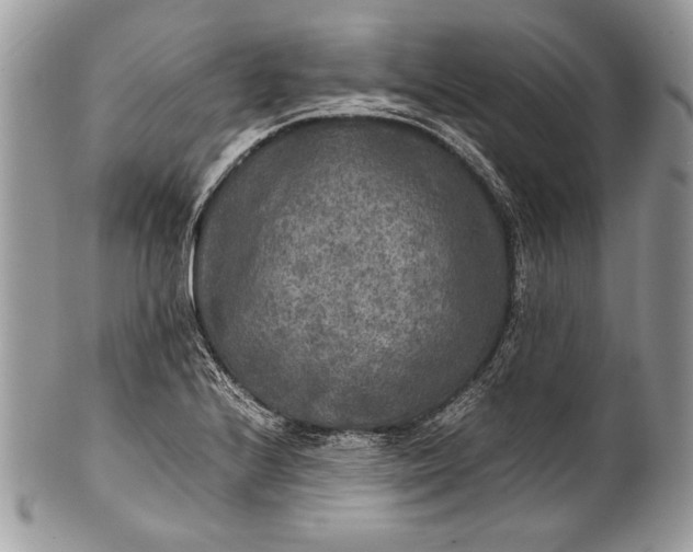 X0000100861224200807070925