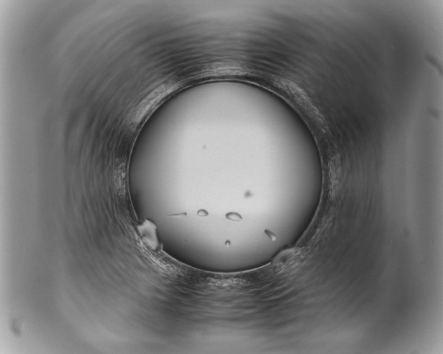 X0000100861225200807070925