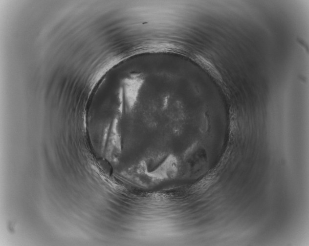 X0000100861226200807070925