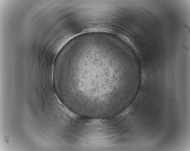 X0000100861228200807070925