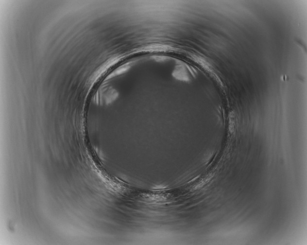 X0000100861229200807070925