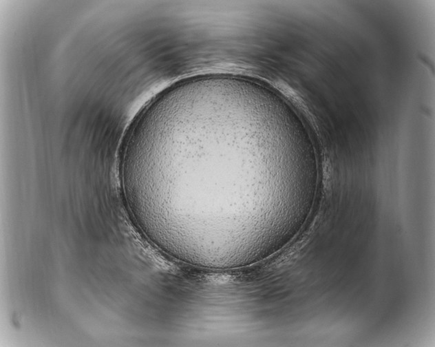 X0000100861230200807070925