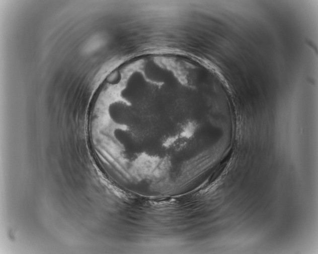 X0000100861231200807070925