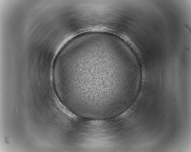 X0000100861232200807070925