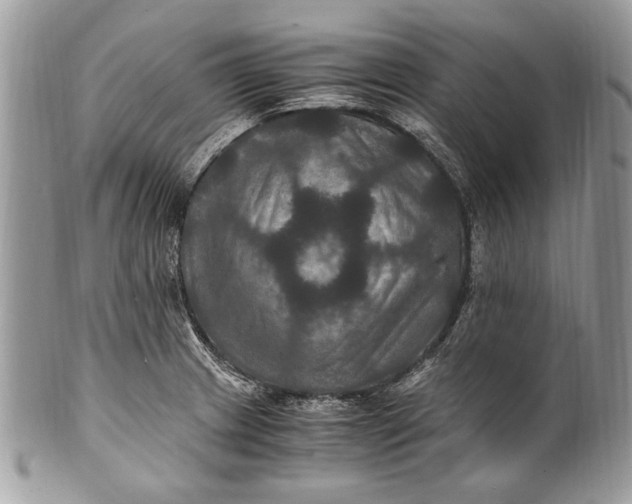 X0000100861233200807070925