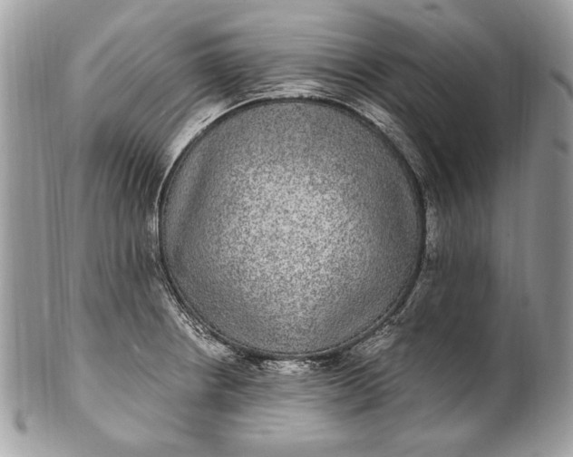 X0000100861234200807070925