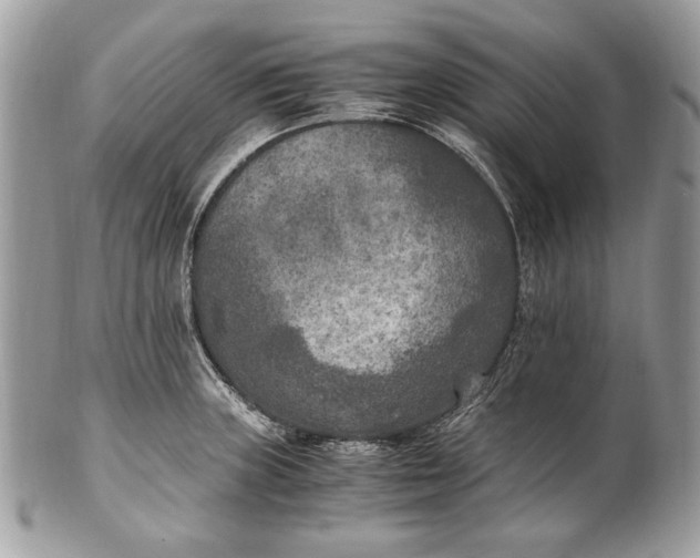 X0000100861235200807070925