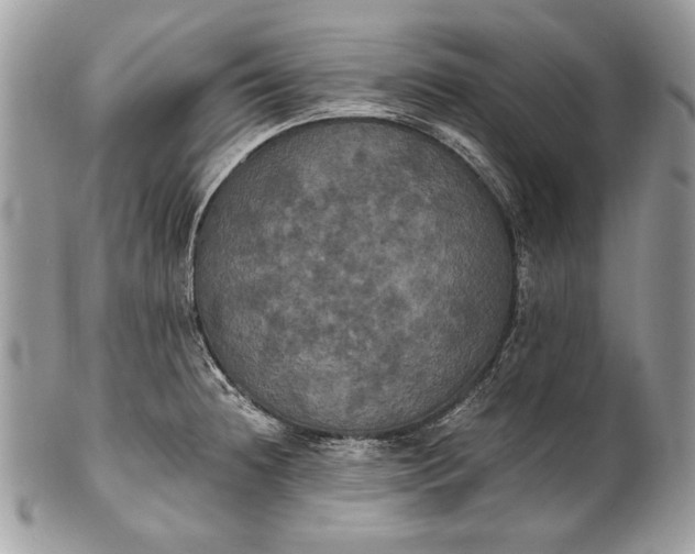 X0000100861236200807070925