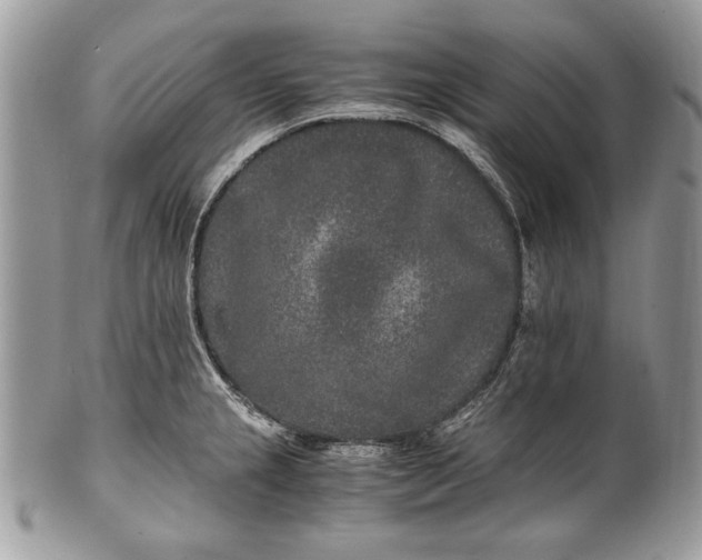 X0000100861237200807070926