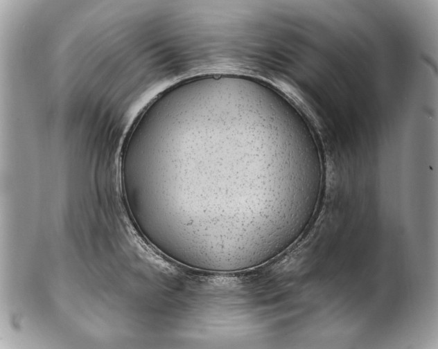 X0000100861238200807070926