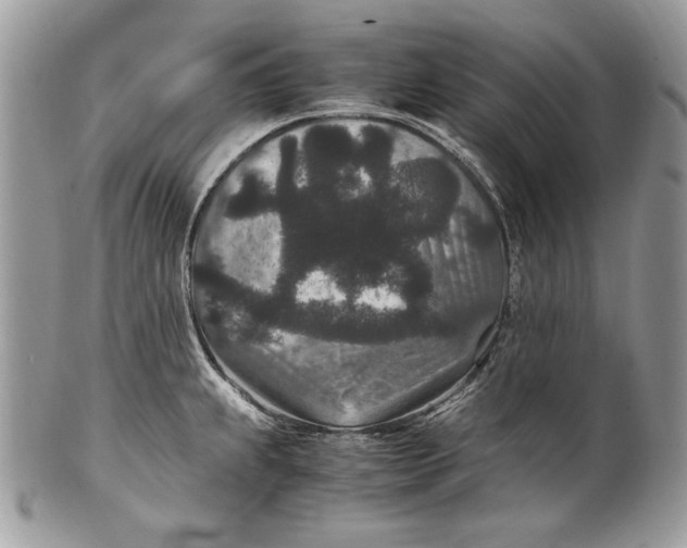 X0000100861239200807070926