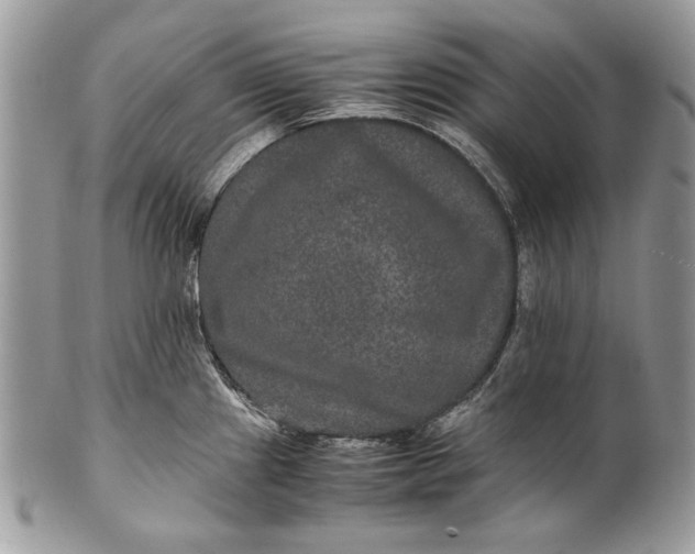 X0000100861241200807070926