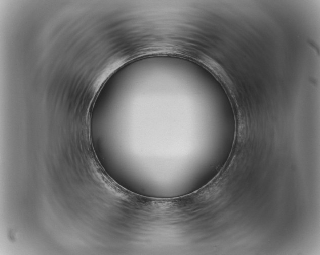 X0000100861242200807070926