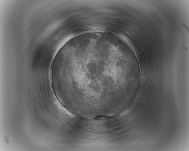 X0000100861243200807070926