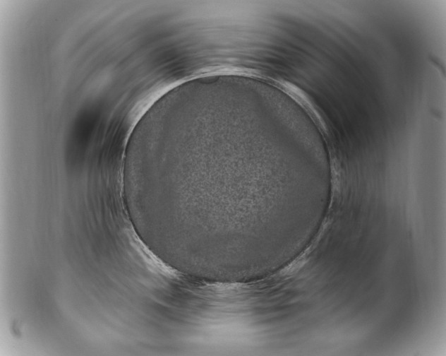 X0000100861244200807070926