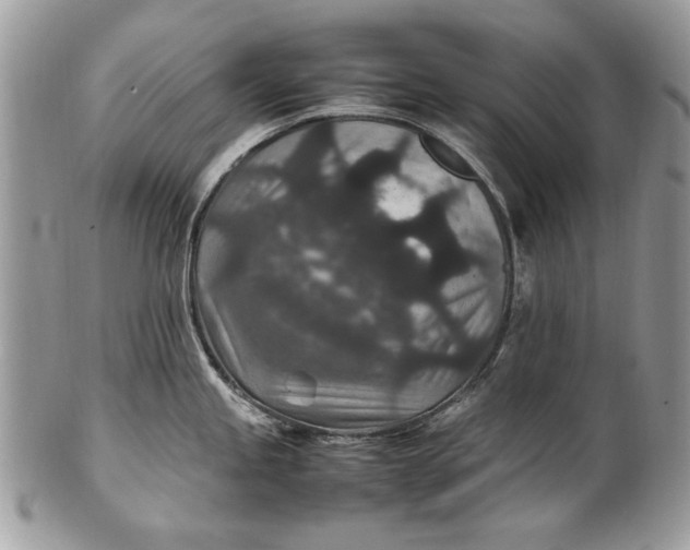 X0000100861245200807070926