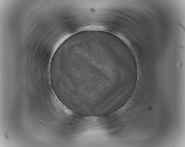 X0000100861248200807070926