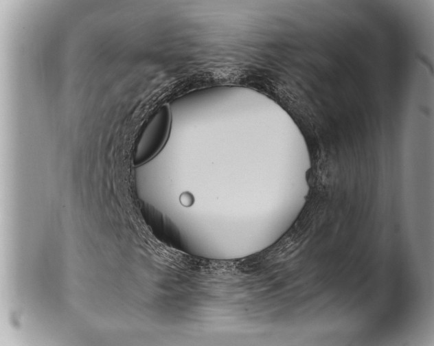 X0000100861249200807070925