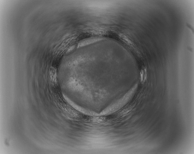 X0000100861251200807070925