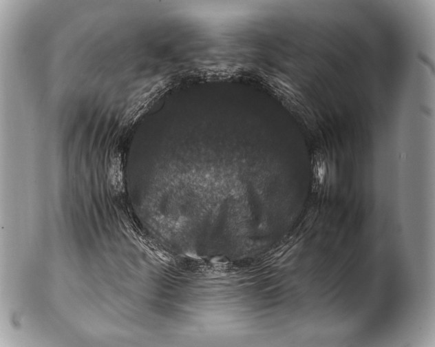 X0000100861252200807070925