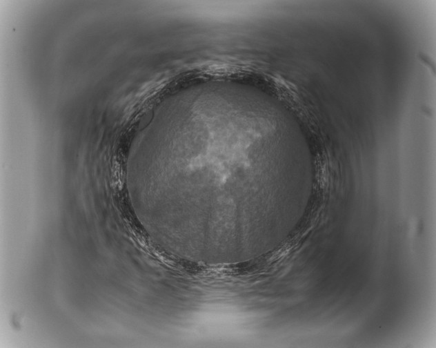 X0000100861253200807070925