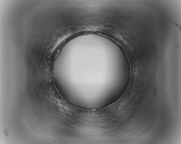 X0000100861256200807070925