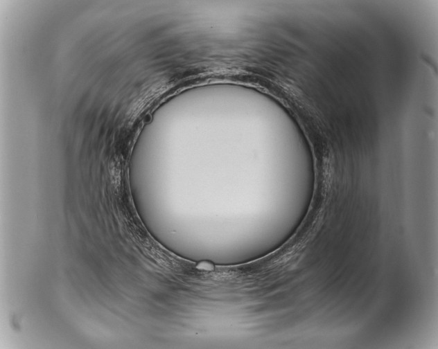 X0000100861257200807070925