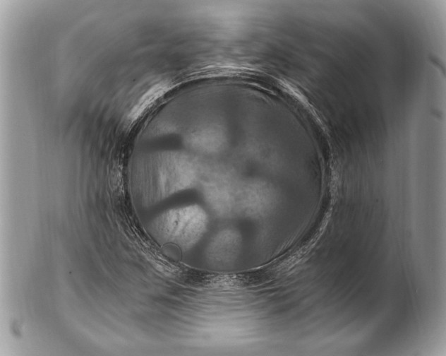 X0000100861259200807070925