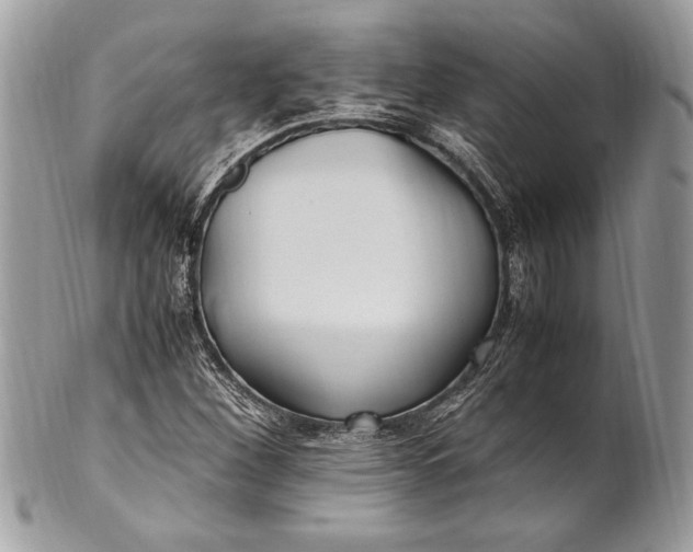 X0000100861260200807070925