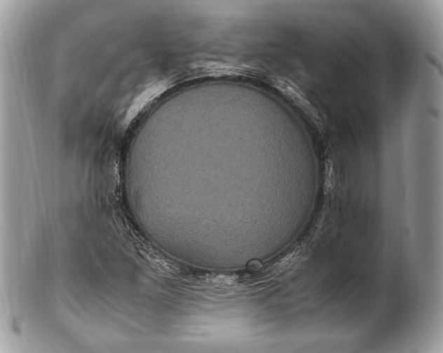 X0000100861261200807070925