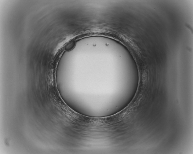 X0000100861262200807070925