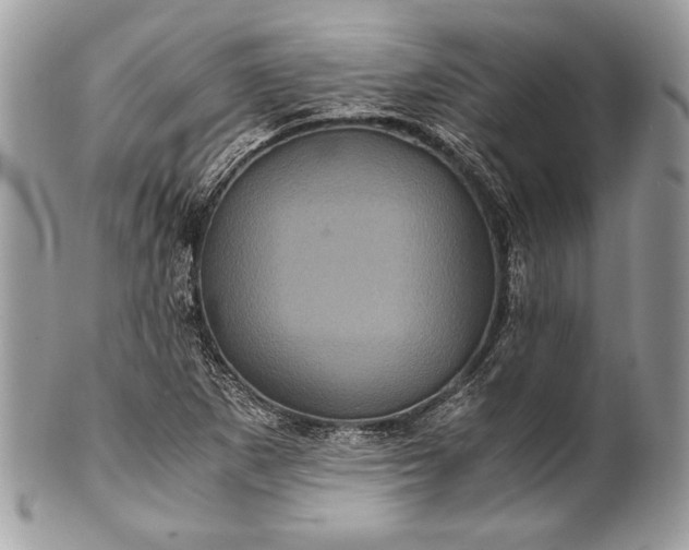 X0000100861265200807070925