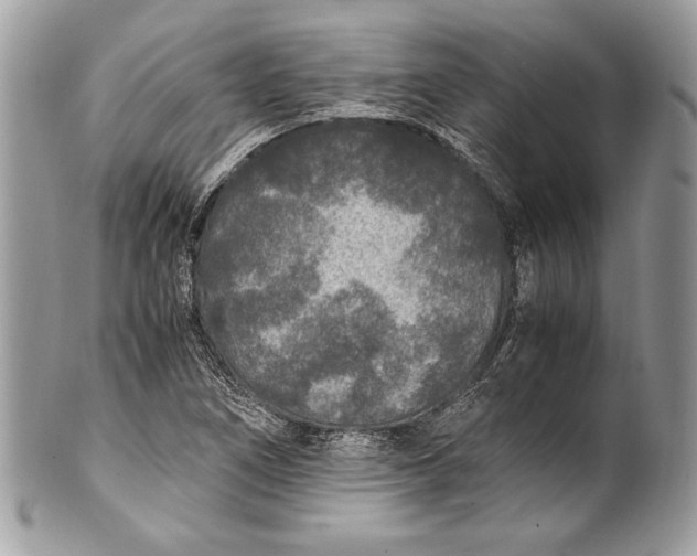 X0000100861266200807070925