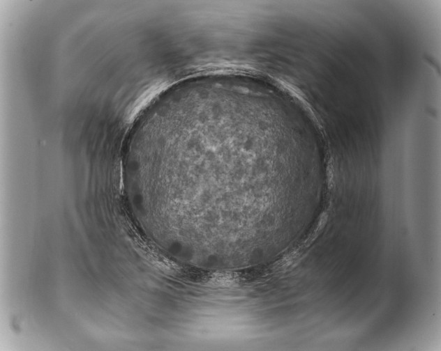 X0000100861267200807070925