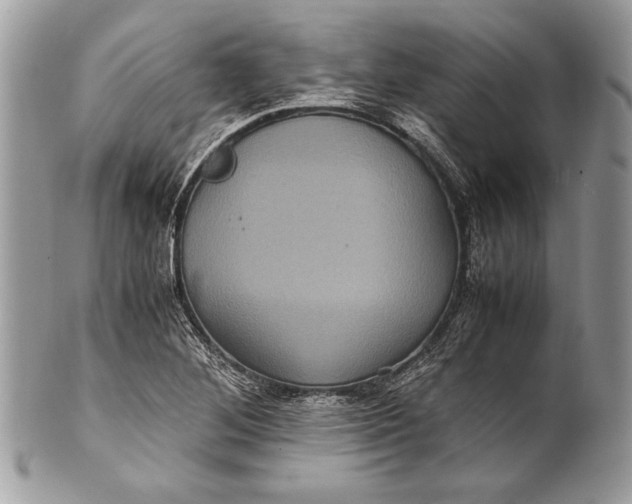 X0000100861268200807070924