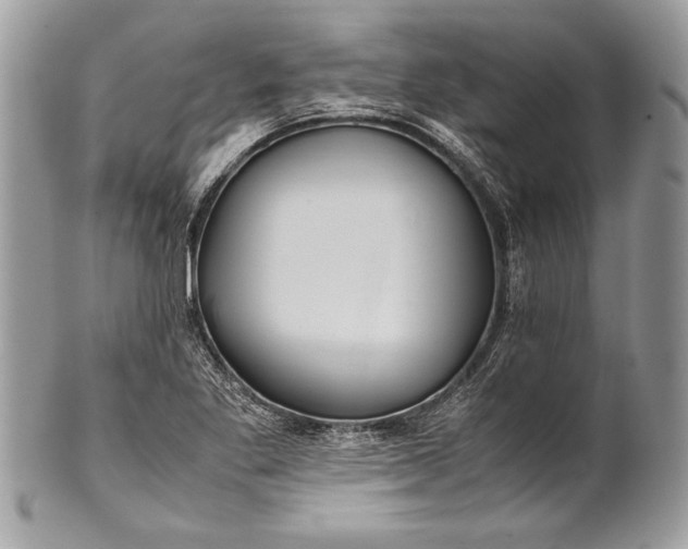 X0000100861269200807070924