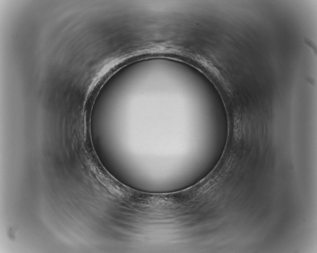 X0000100861270200807070924