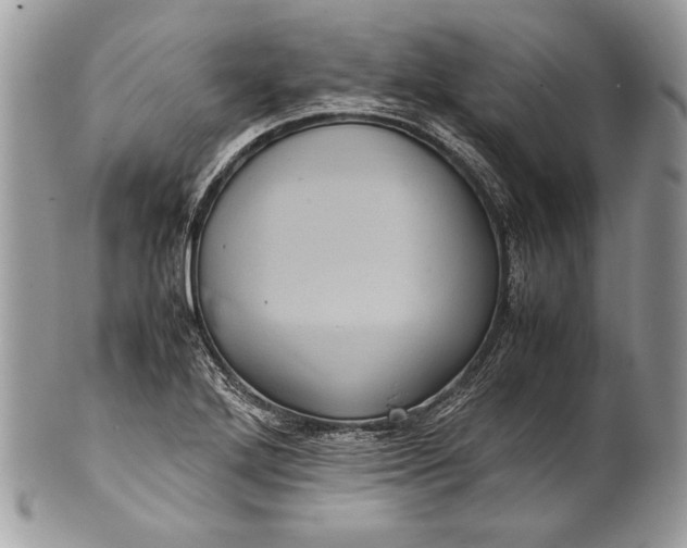 X0000100861272200807070924