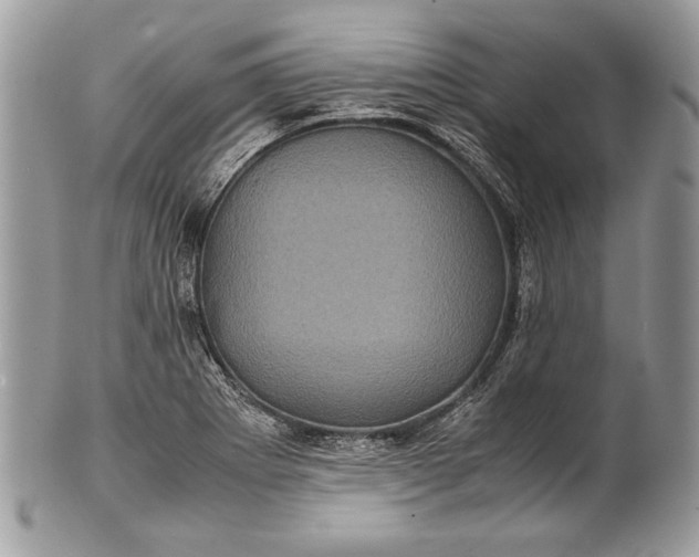 X0000100861273200807070924