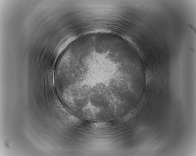 X0000100861274200807070924