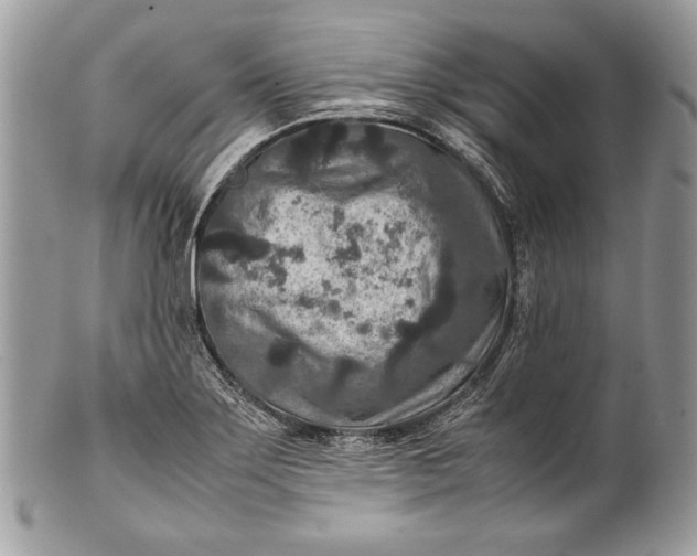 X0000100861275200807070924