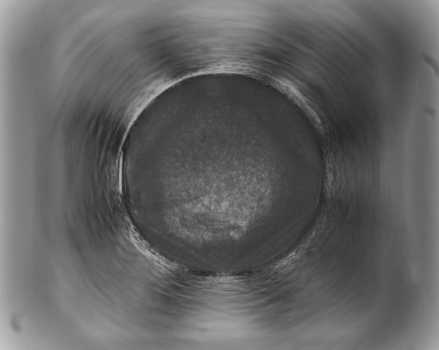 X0000100861276200807070924