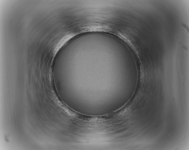 X0000100861277200807070924