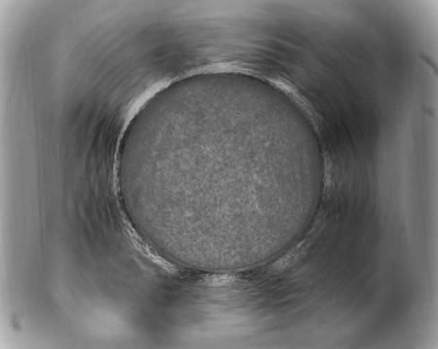 X0000100861278200807070924