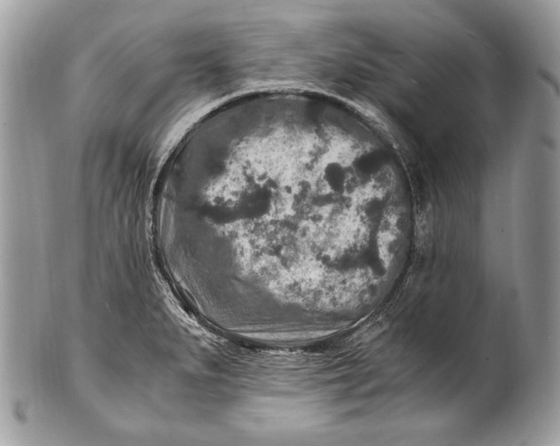 X0000100861279200807070924