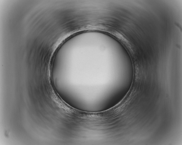 X0000100861280200807070924