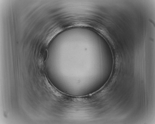 X0000100861281200807070924