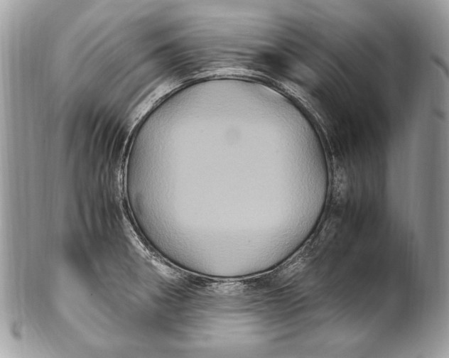 X0000100861282200807070924