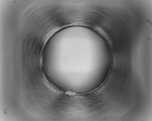 X0000100861284200807070924